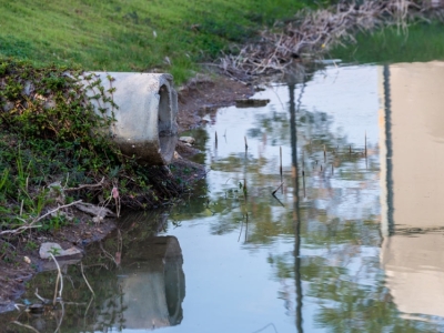Understanding Stormwater Outfalls: Types and Their Environmental Impact