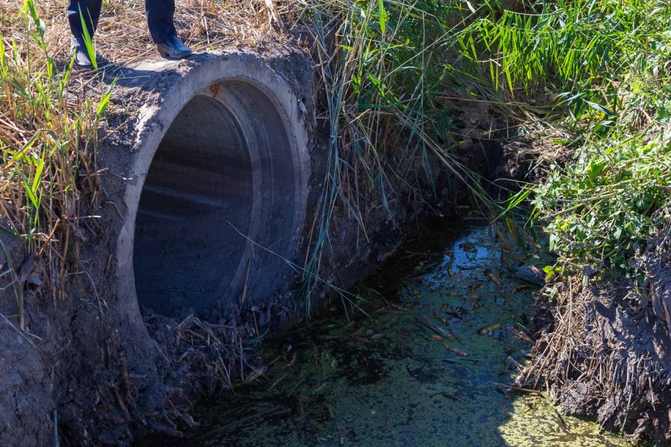 How to Conduct Dry Weather Outfall Screening for Illicit Discharge Detection