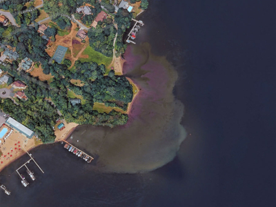 Sediment Build-Up and Its Effects on Water Quality and Habitat