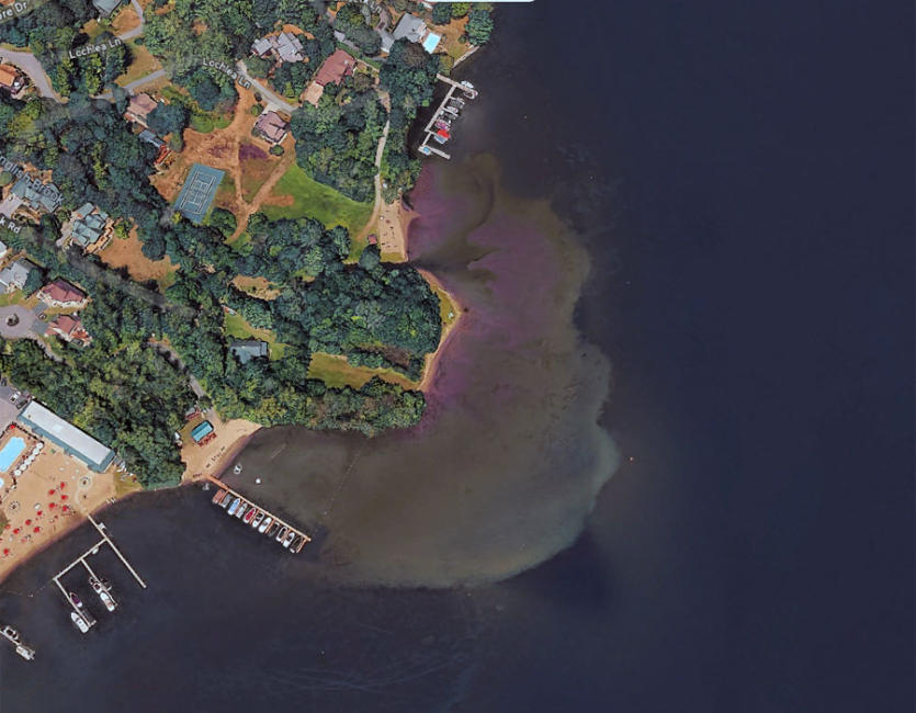 Sediment Build-Up and Its Effects on Water Quality and Habitat