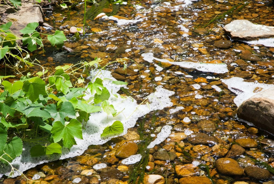 What Is That Foam on the Water?