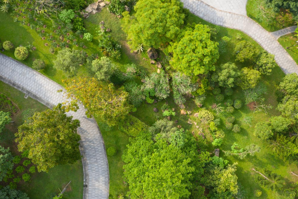 Aerial view of nature park with permeable paver paths.