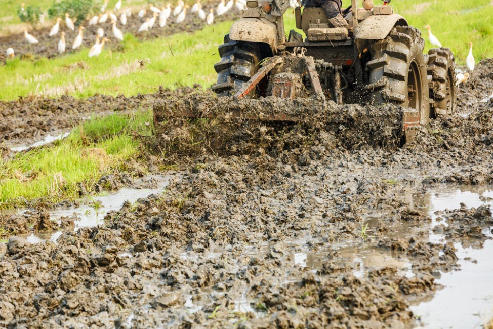 Tractor tilling a soaked and muddy rice paddy.