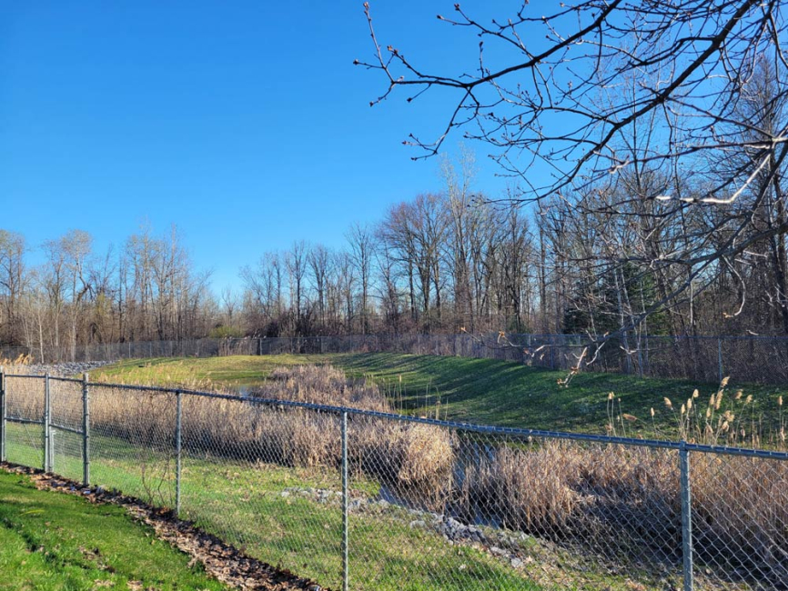 A detention pond serving a Walmart parking lot.