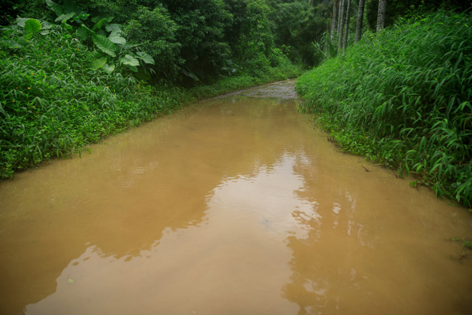 Flooding has stirred up sediment in a forest stream.