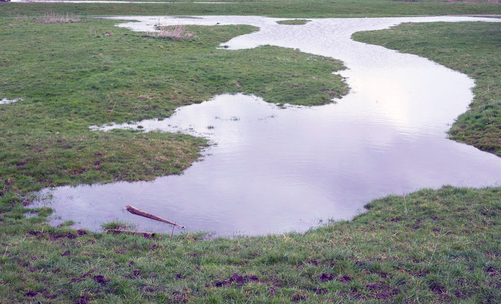 Small ponds of water on field after heavy rainstorm.