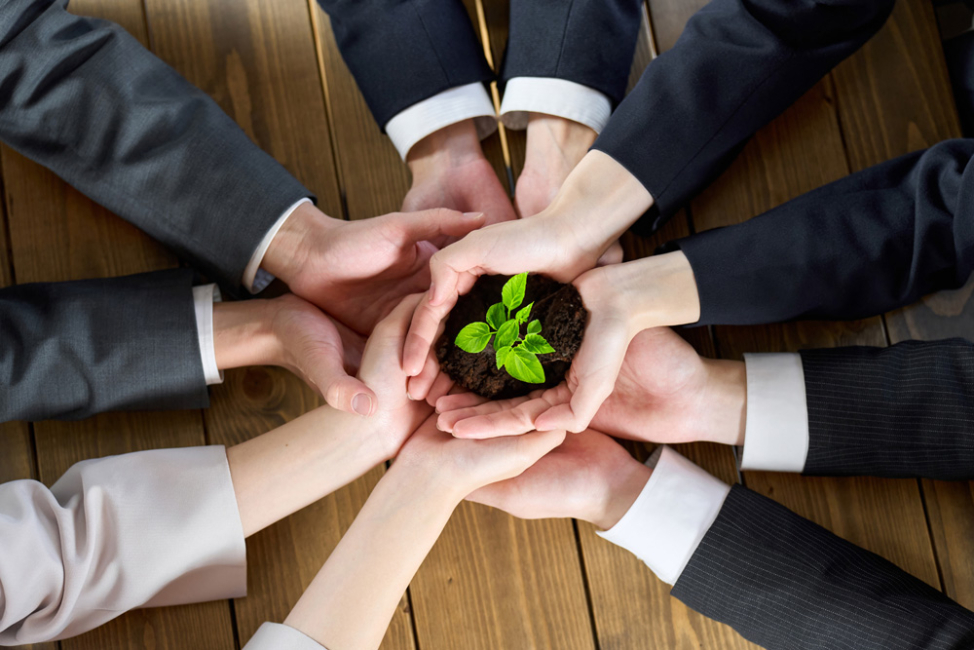 A group of hands holding a small plant in soil.