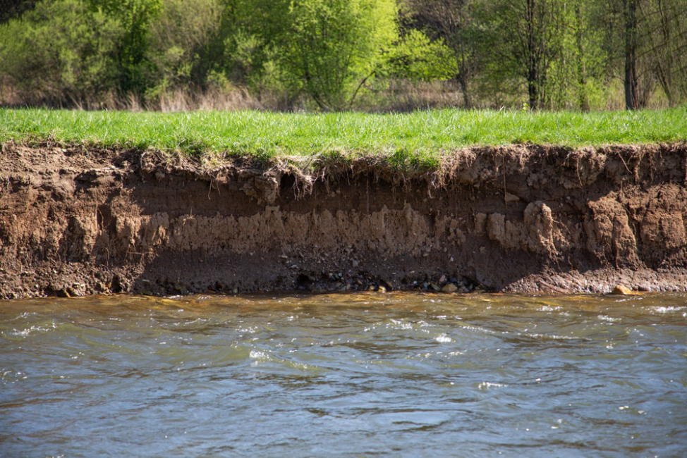 A heavily eroded soil bank of a stream.