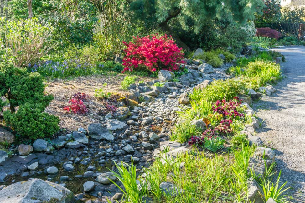 A rain garden next to a gravel driveway.