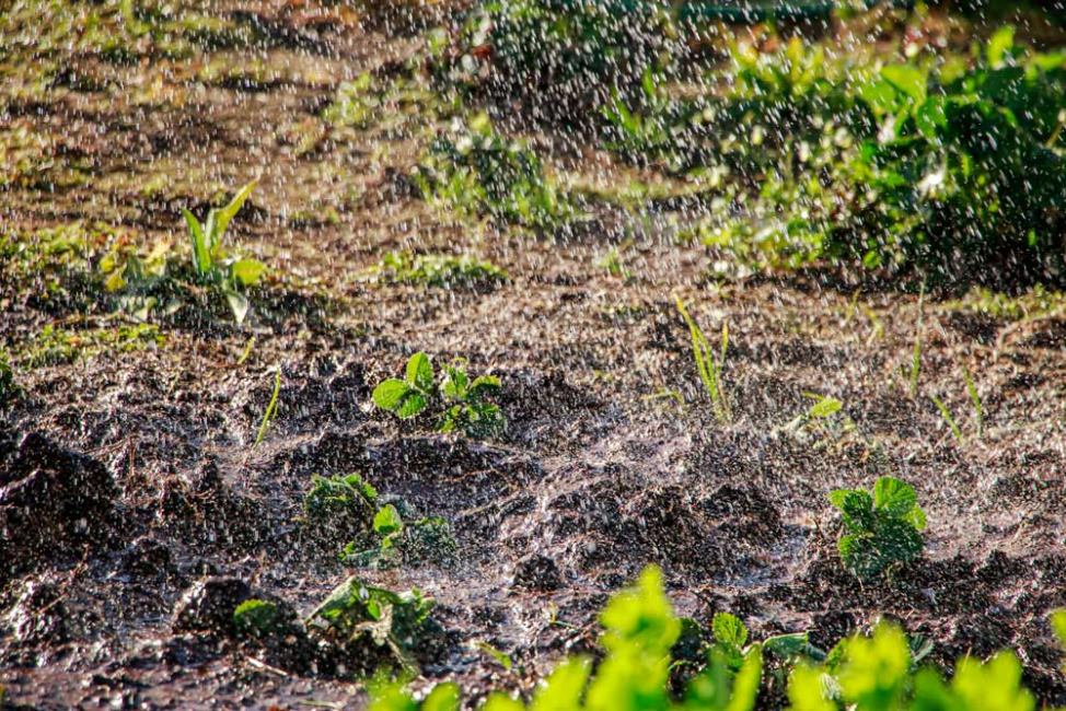 Rain splashing exposed soil on farmland.