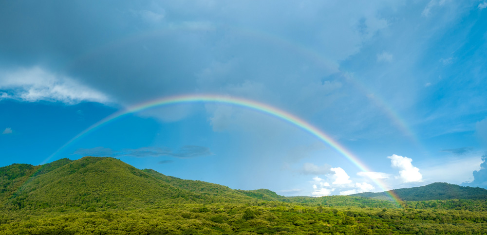 Rainbow over green mountain scene.