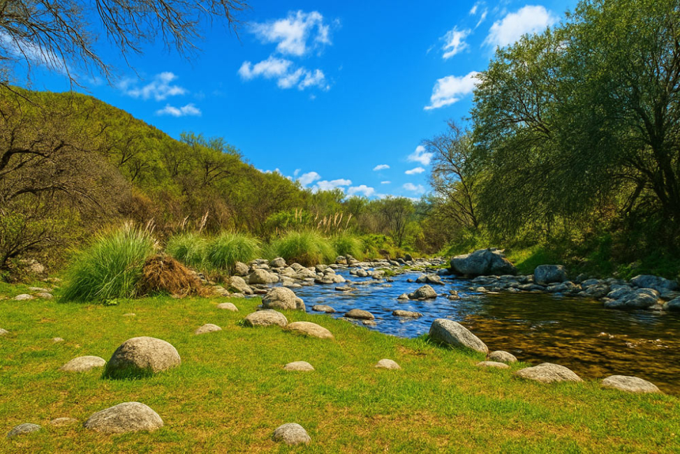 A riparian buffer with grass, rocks, and trees.