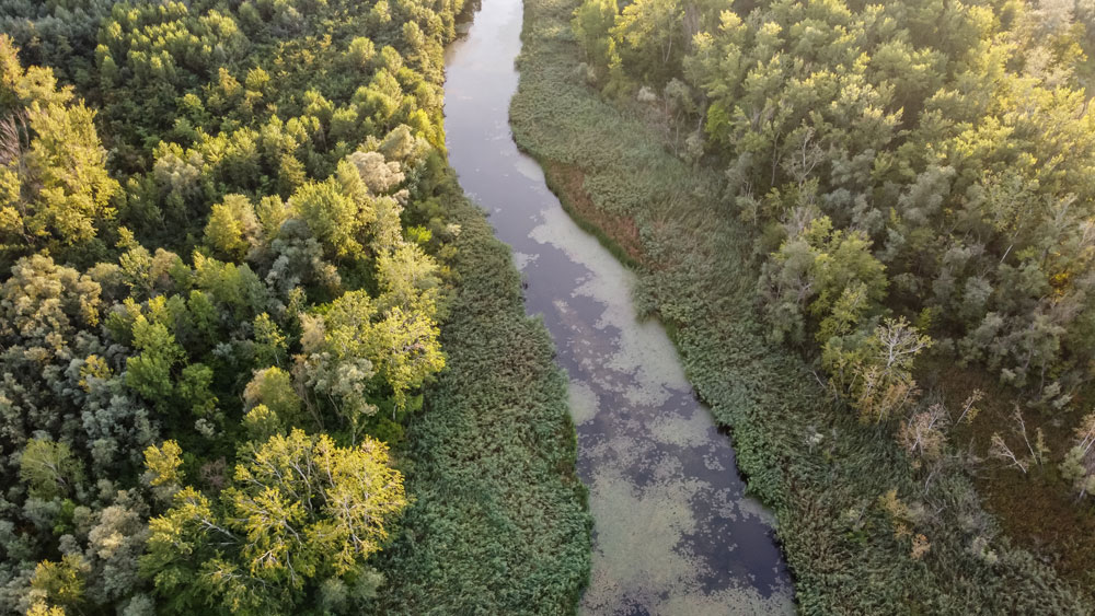 Aerial view of a forested river valley.