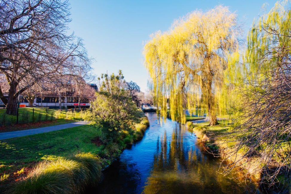 A small river running through a city park.