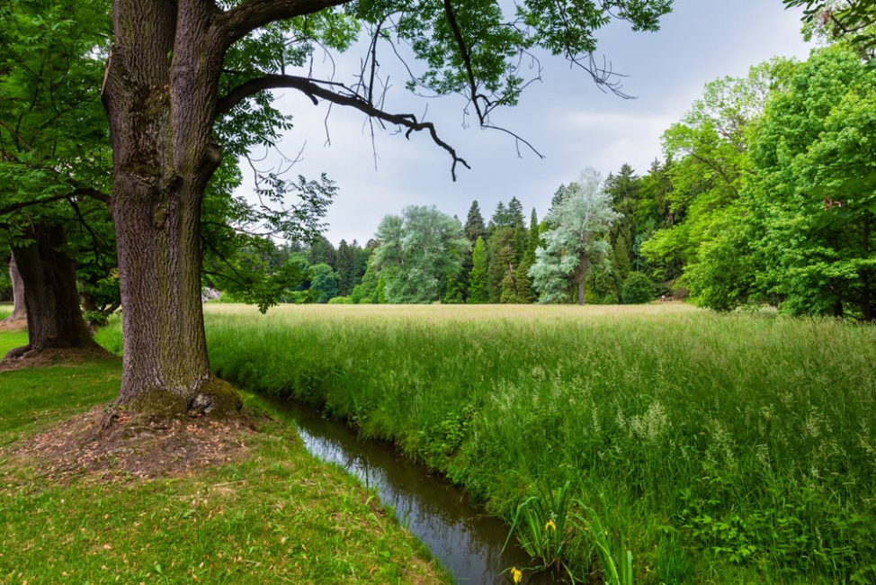 Water running in open channel in meadow.