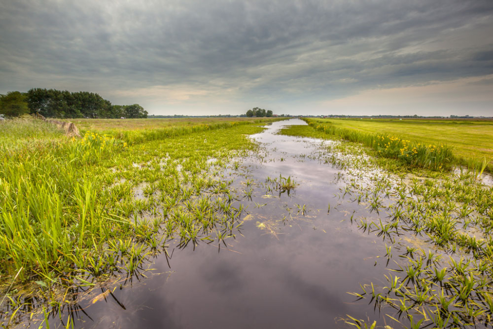Water flowing over field instead of infiltrating soil.
