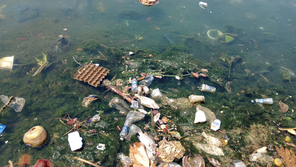 A lot of household trash floating on the surface of a polluted stream.