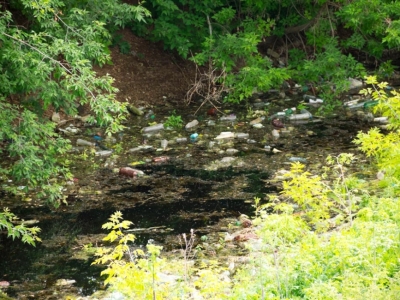 Understanding Common Pollutants in Runoff