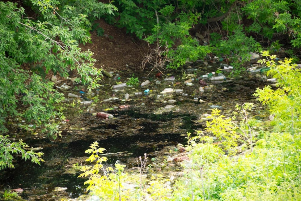 Understanding Common Pollutants in Runoff
