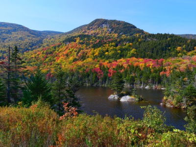 Adirondack Watershed Institute: Safeguarding the Health of New York’s Freshwater Systems