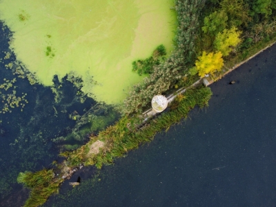 How Harmful Algal Blooms Form, and Why Road Salt Is Making the Problem Worse