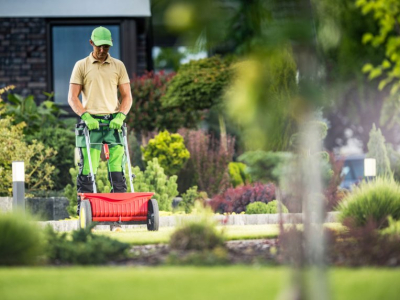 Why Municipal Governments Should Ban Lawn Fertilizers and Chemicals on Waterfront Properties