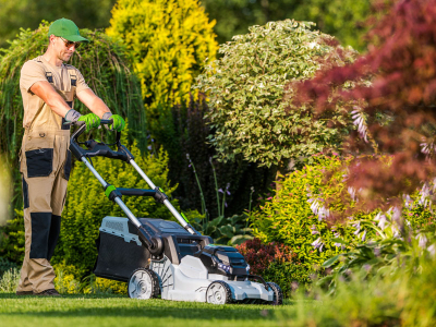 Rethinking the “Perfect” Lawn: What a Healthy Suburban Yard Should Really Look Like