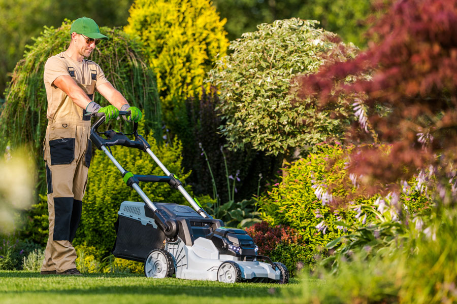 Rethinking the “Perfect” Lawn: What a Healthy Suburban Yard Should Really Look Like
