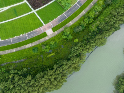 The Power of Riparian Buffers: Natural Defenders of Watershed Health
