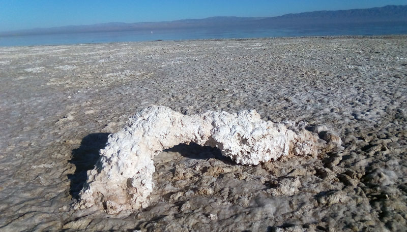 Crusty beach of the Salton Sea