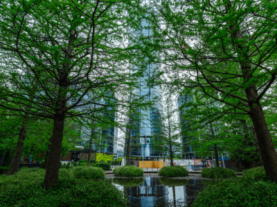 How Green Infrastructure Supports Biodiversity in Urban Stormwater Systems
