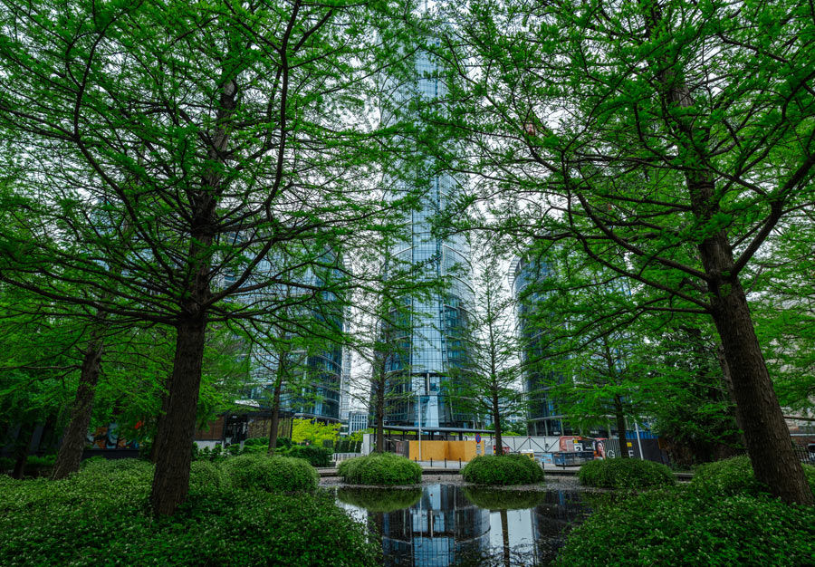 How Green Infrastructure Supports Biodiversity in Urban Stormwater Systems